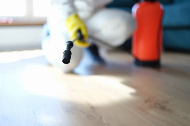 Best Mold Removal for HVAC Installations  in Rouse, CA