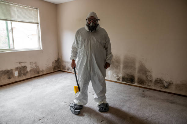 Best HVAC Mold Inspection and Cleaning  in Rouse, CA
