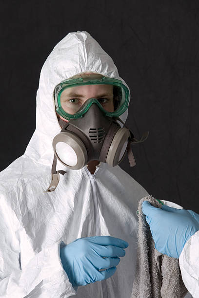 Best Biohazard Mold Removal  in Rouse, CA